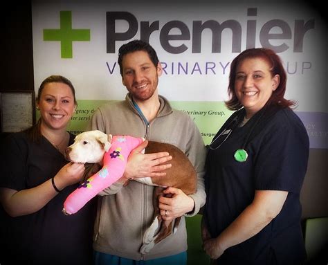 Premier veterinary group - Premier Veterinary Group. 13715 S. Cicero Avenue Crestwood, IL 60044-0445. 1; Customer Reviews for Premier Veterinary Group. Emergency Vet. Multi Location Business. Find locations.